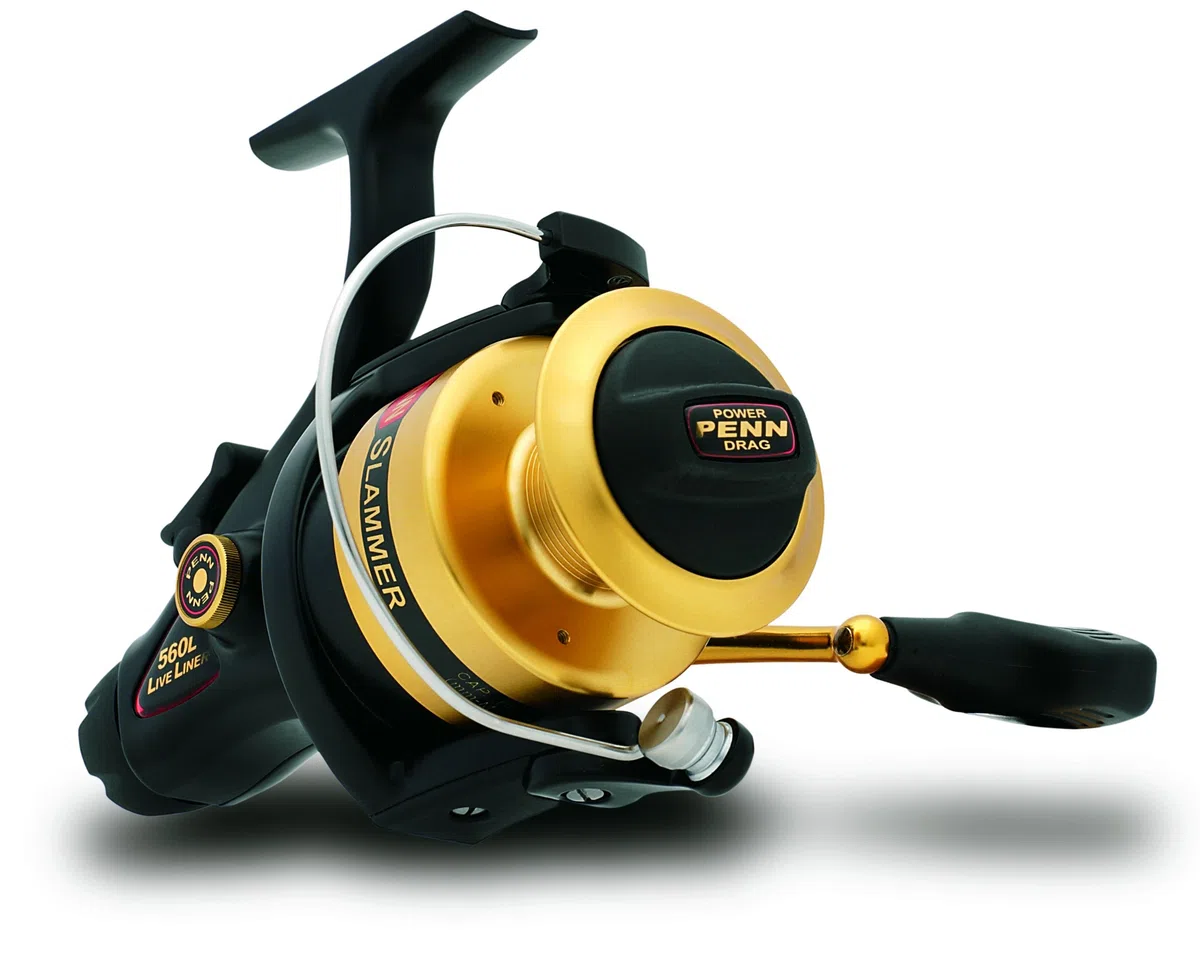 Penn Slammer Live Liner 460 L