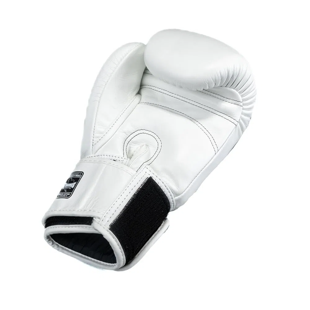Twins Special Boxhandschuhe - BG-N1 V2 - Premium Leder - Für Sparring und Training