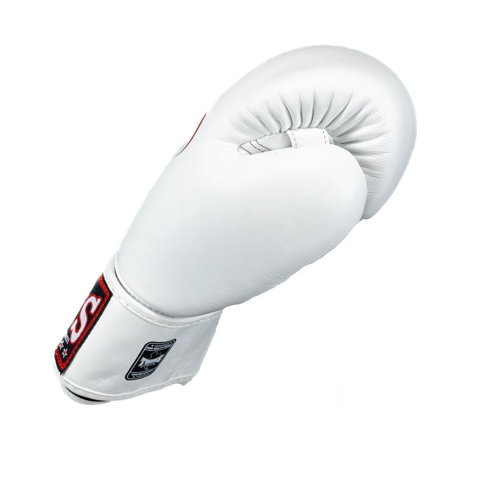 Twins Special Boxhandschuhe - BG-N1 V2 - Premium Leder - Für Sparring und Training