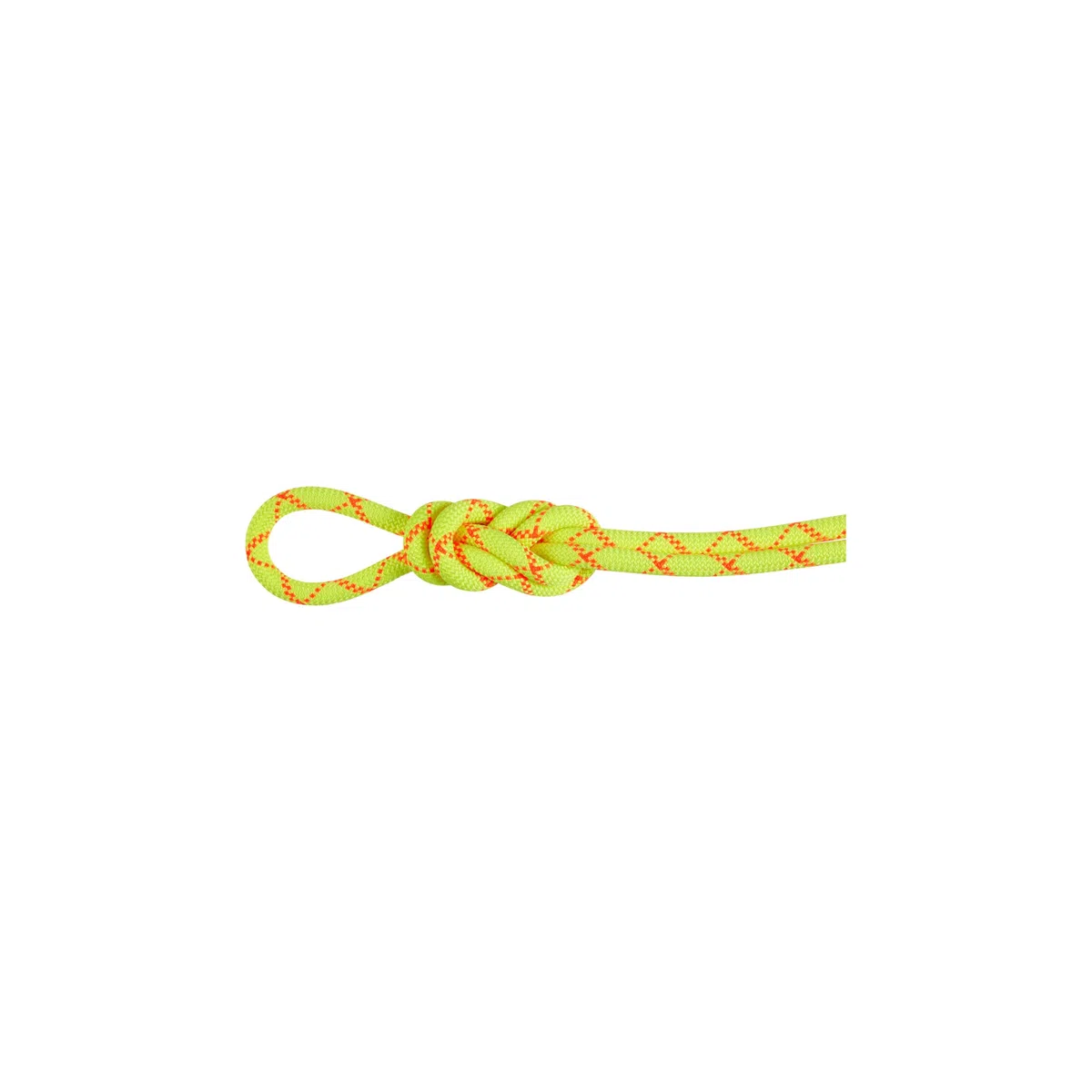 Mammut 9.5 Alpine Core Protect Dry Rope 50m